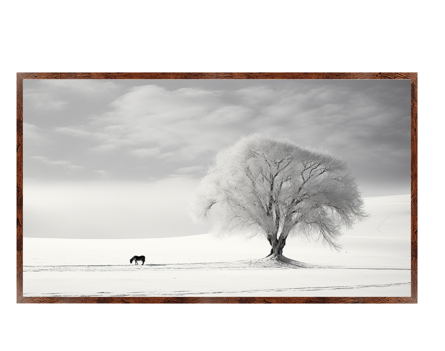 #1098 White on White