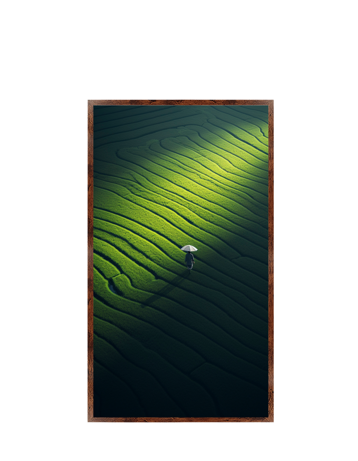 #1103 The Path to Happiness