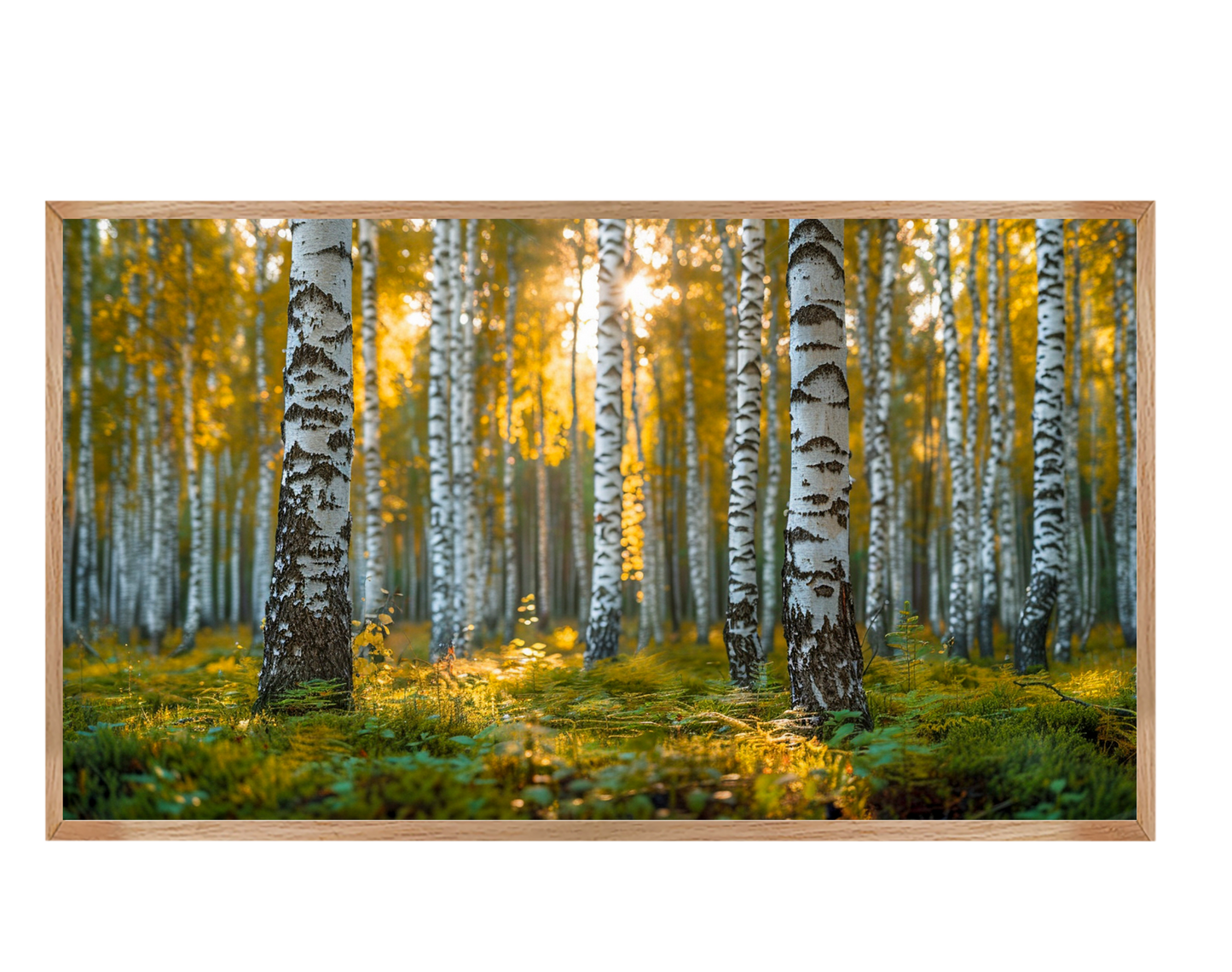 #1197 In Harmony with Nature 2