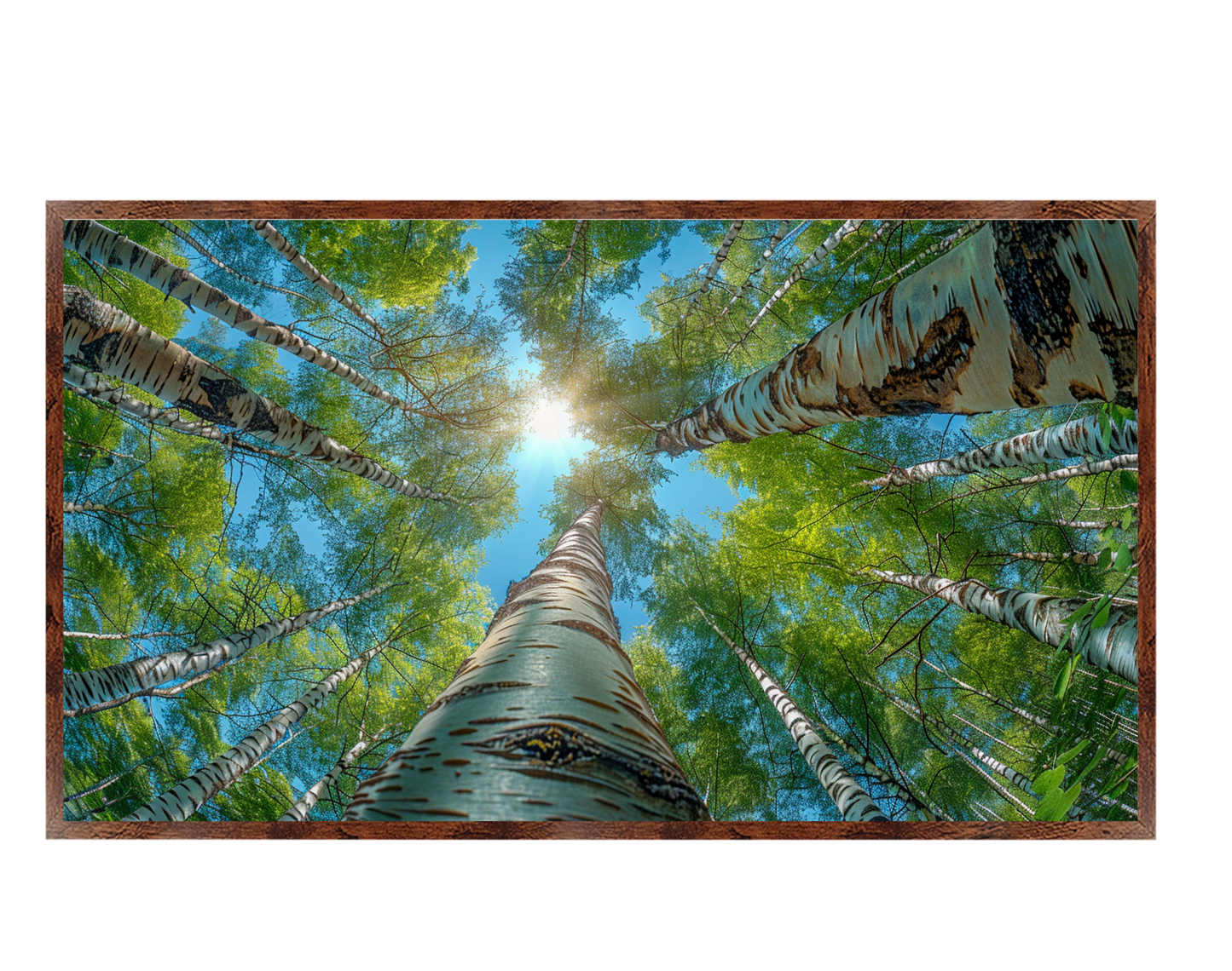 #1196 Beneath the Skies