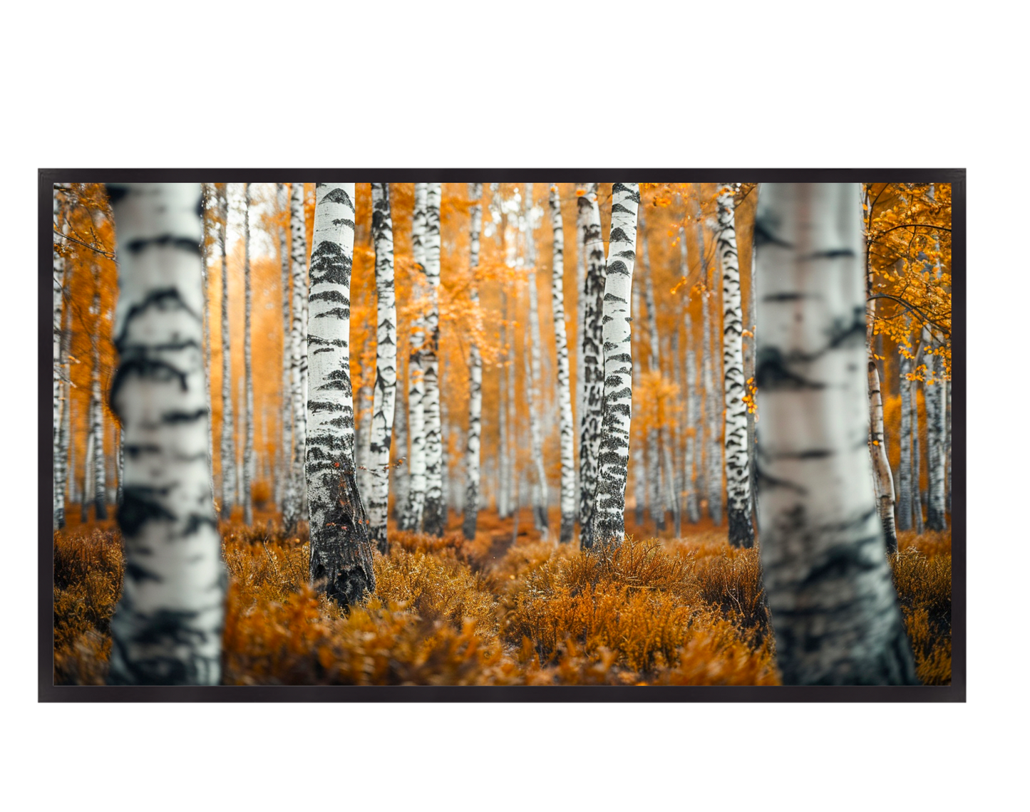 #1195 In Harmony with Nature 1