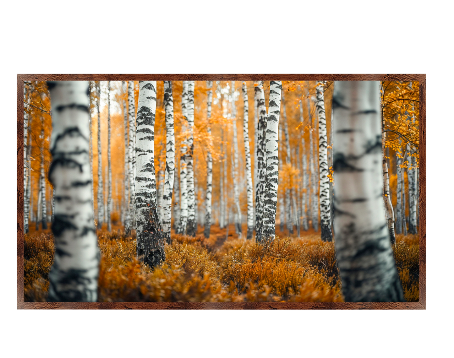 #1195 In Harmony with Nature 1