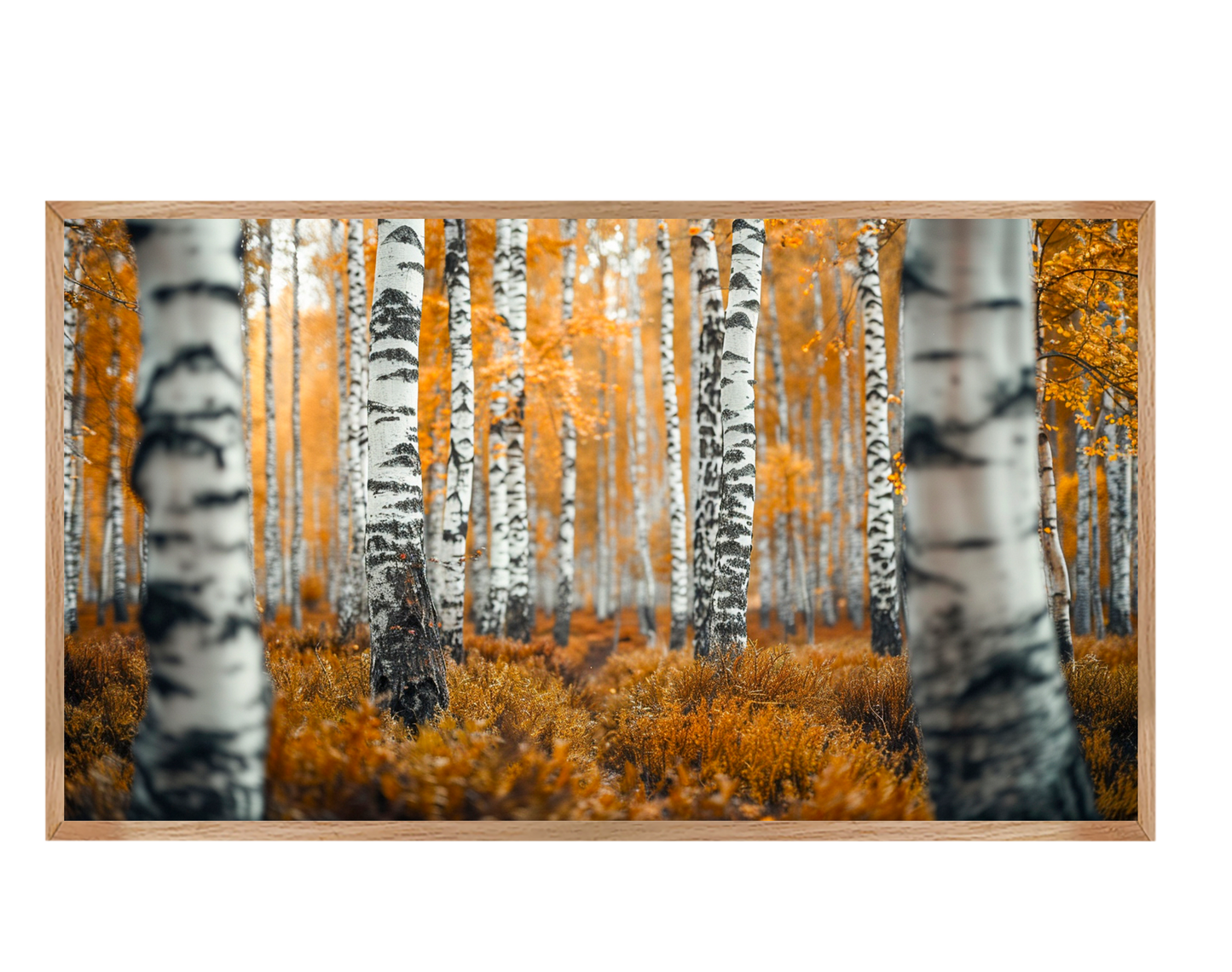 #1195 In Harmony with Nature 1