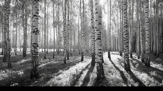 #1184 In Harmony with Nature